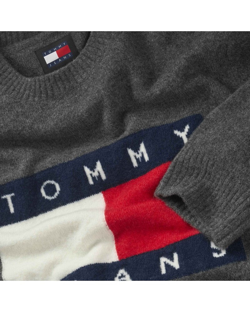 JERSEY LOGO | TOMMY HILFIGER