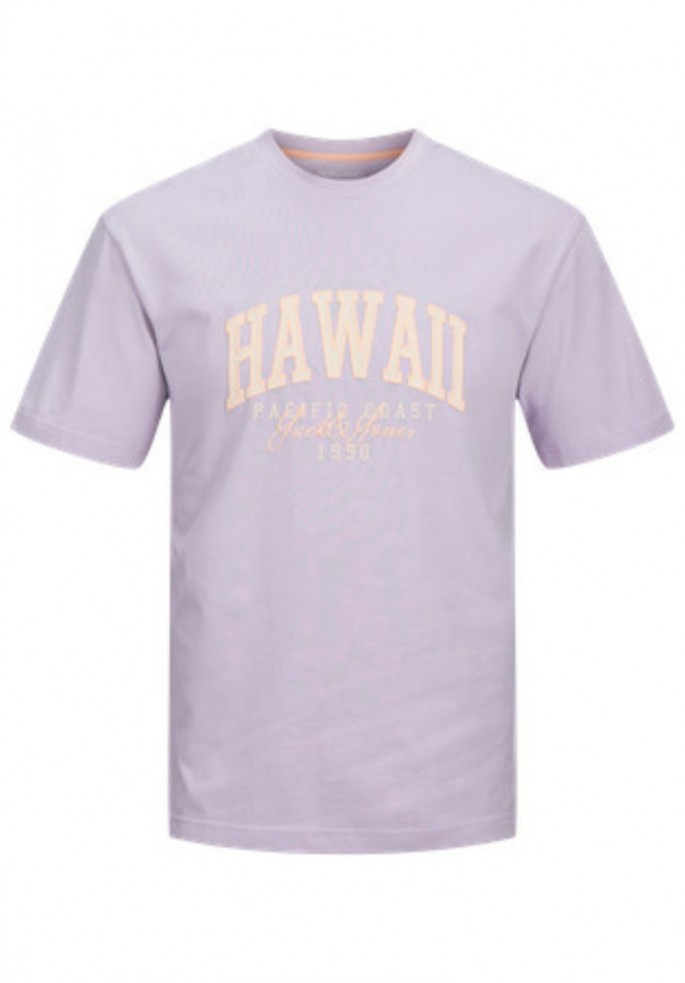 CAMISETA DETROIT | JACK &...