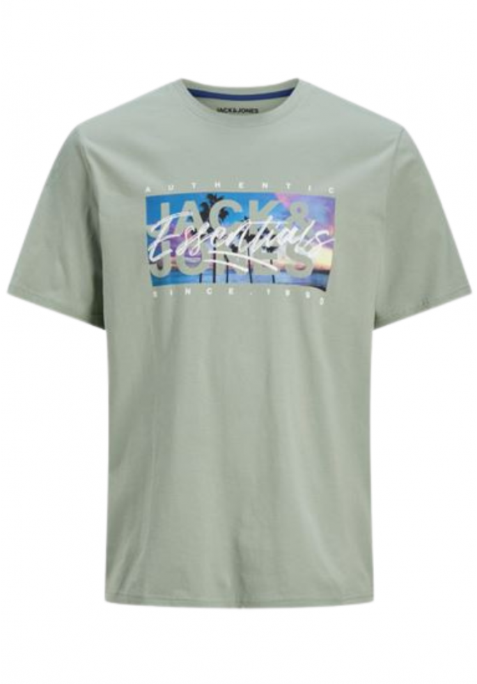 CAMISETA COLTON | JACK & JONES