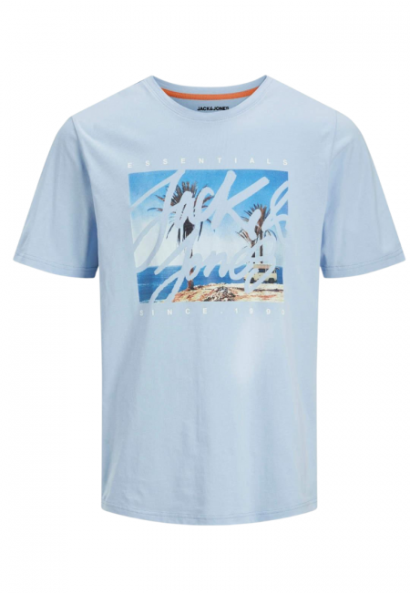 CAMISETA COLTON | JACK & JONES