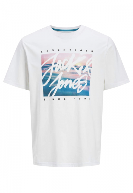 CAMISETA COLTON | JACK & JONES