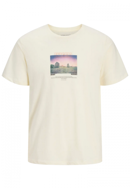 CAMISETA RYU | JACK & JONES