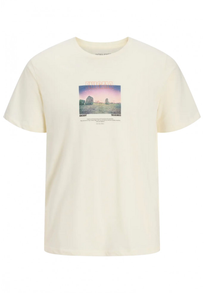 CAMISETA RYU | JACK & JONES