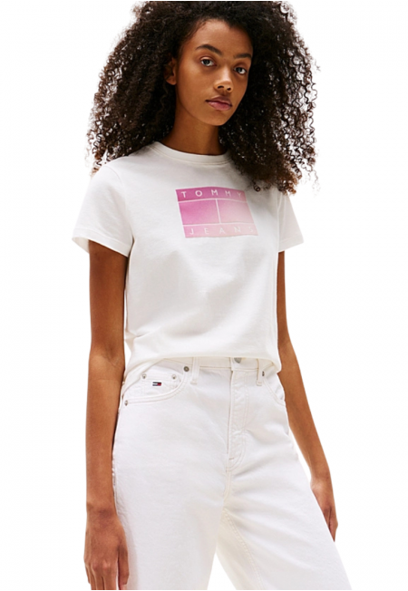 CAMISETA REG GRADIENT |...