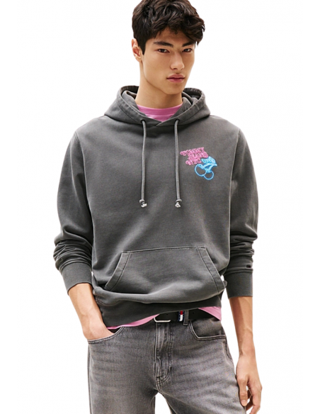 SUDADERA REG NOVELTY FAIR |TOMMY HILFIGER