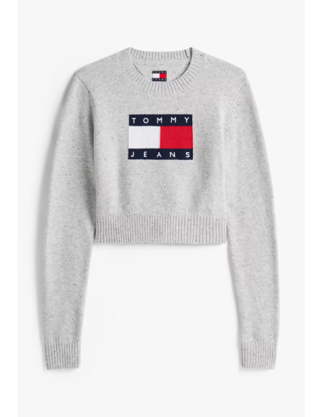 JERSEY SPARKLE FLAG | TOMMY HILFIGER