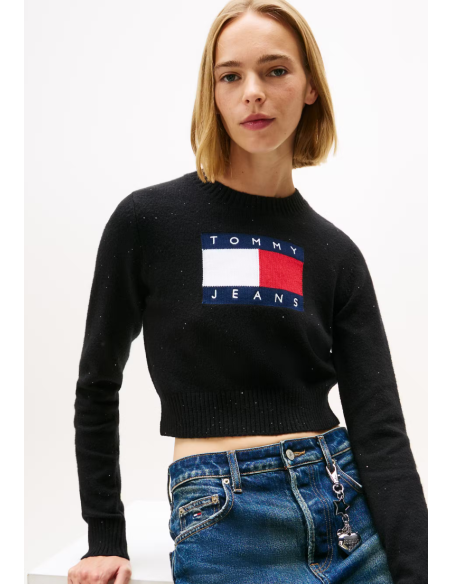 JERSEY SPARKLE FLAG | TOMMY HILFIGER