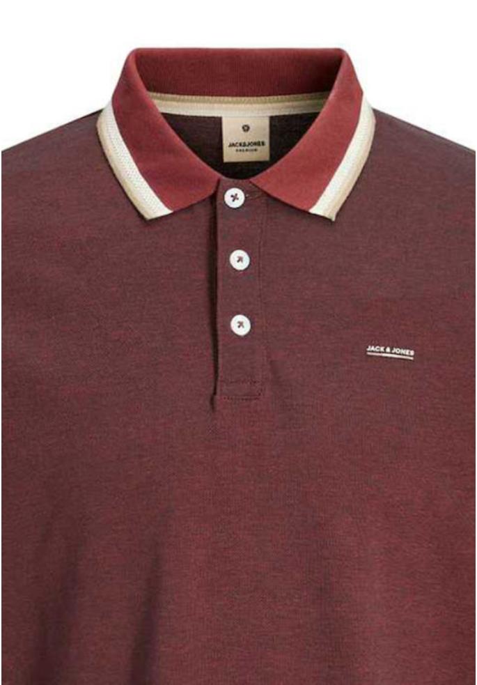 POLO LUALVES | JACK & JONES