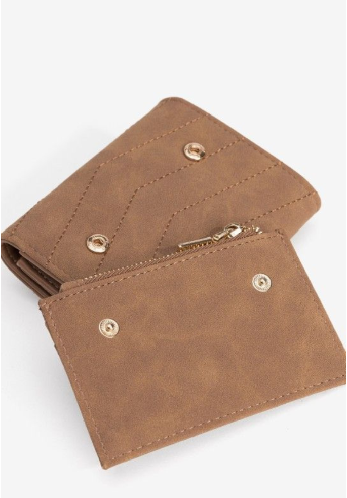 MONEDERO AKITA | VILANOVA